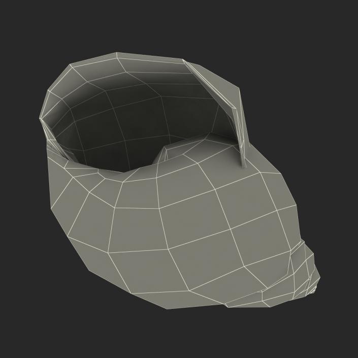 3D model Marginata Shell