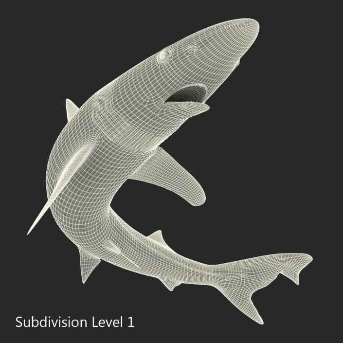 3D School Shark Swimming Pose