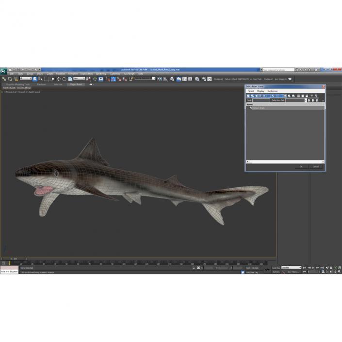 3D School Shark Swimming Pose