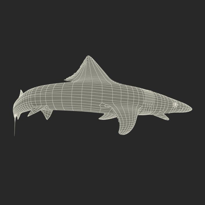 3D School Shark Swimming Pose