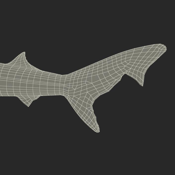 3D School Shark Swimming Pose