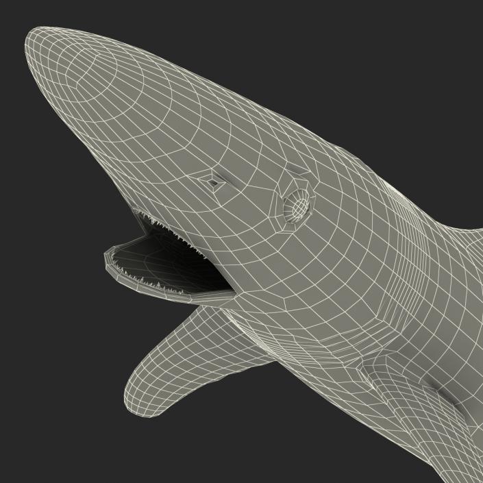 3D School Shark Swimming Pose