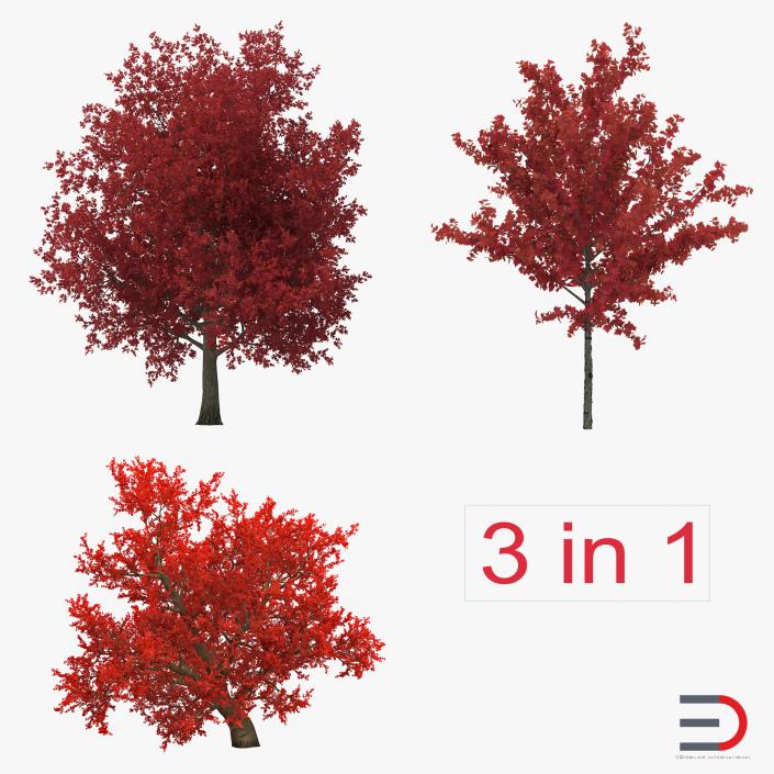 3D Autumn Red Maple Trees 3D Models Collection model