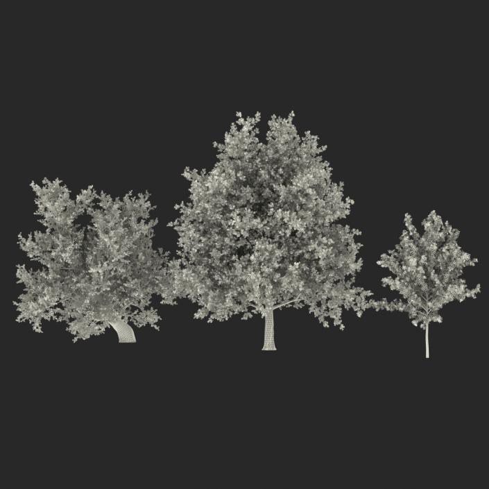 3D Autumn Red Maple Trees 3D Models Collection model