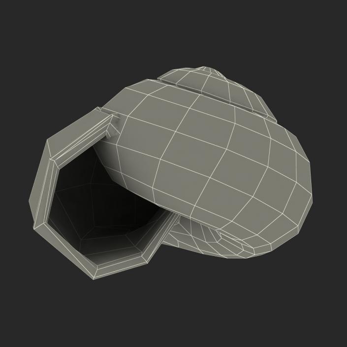 3D Snail Shell 2 model