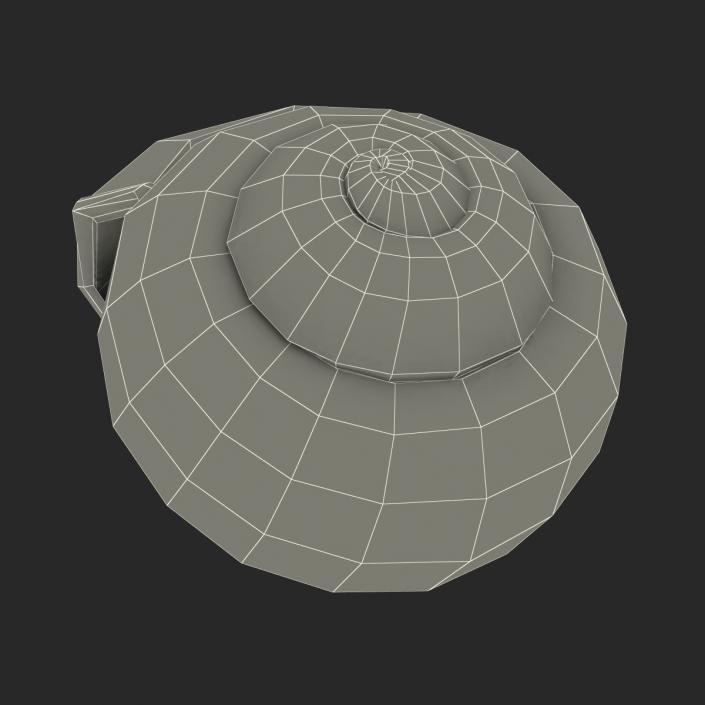 3D Snail Shell 2 model