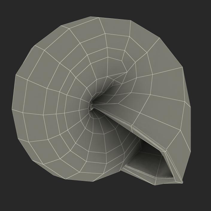 3D Snail Shell 2 model