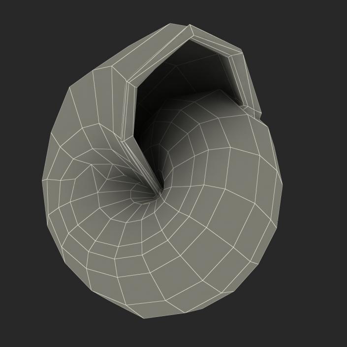 3D Snail Shell 2 model