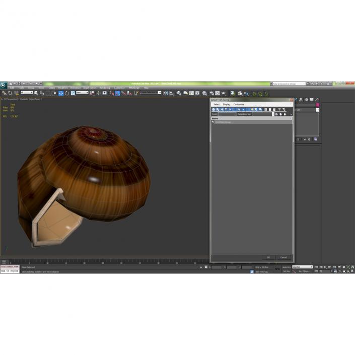 3D Snail Shell