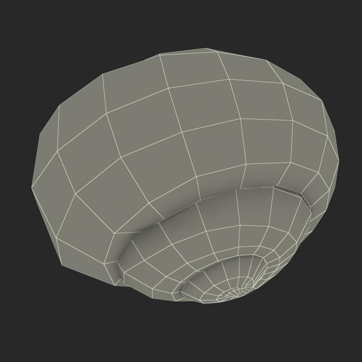 3D Snail Shell