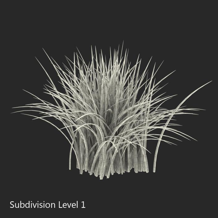 Grass 3D model