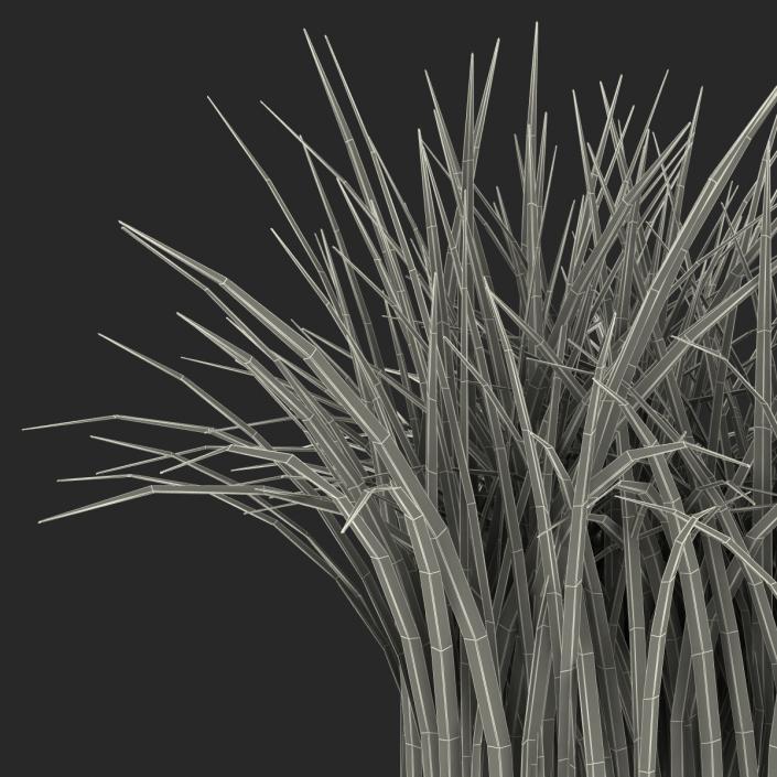 Grass 3D model