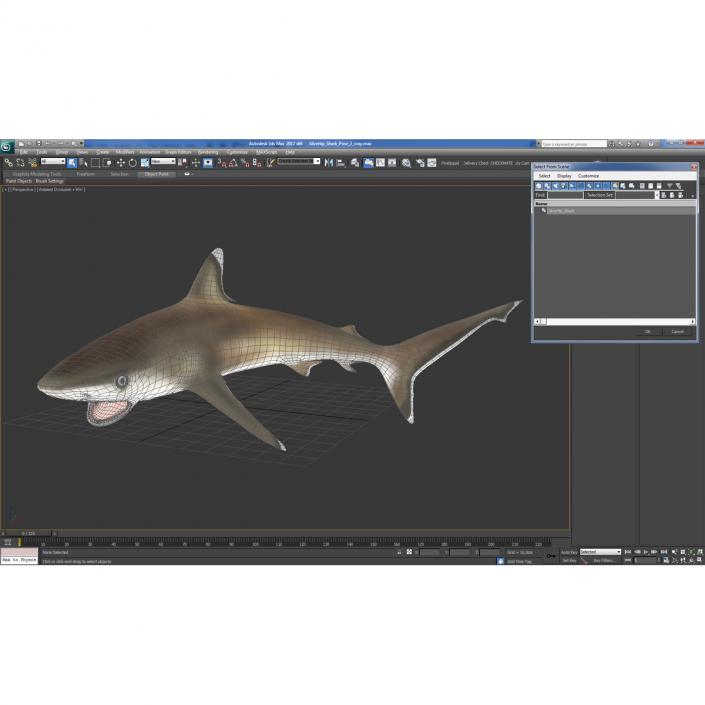 Silvertip Shark Swimming Pose 3D model