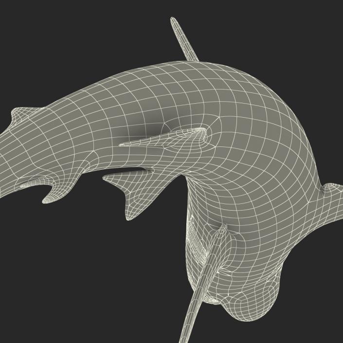 Silvertip Shark Swimming Pose 3D model