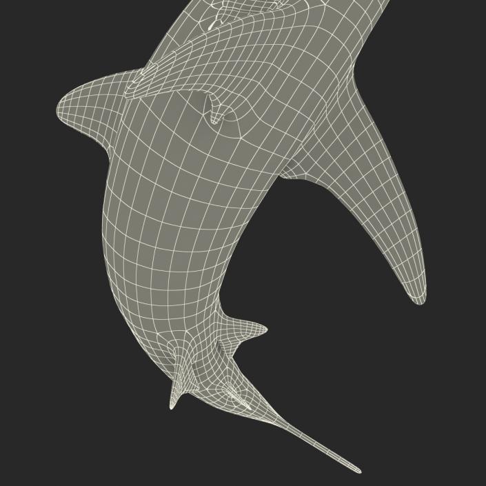 Silvertip Shark Swimming Pose 3D model