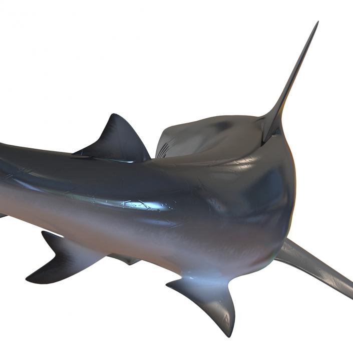 3D model Dusky Shark Swimming Pose