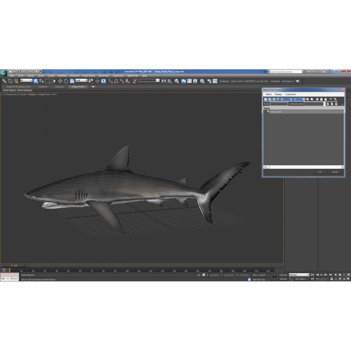 3D model Dusky Shark Swimming Pose