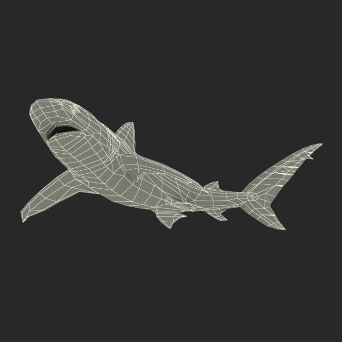 3D model Dusky Shark Swimming Pose