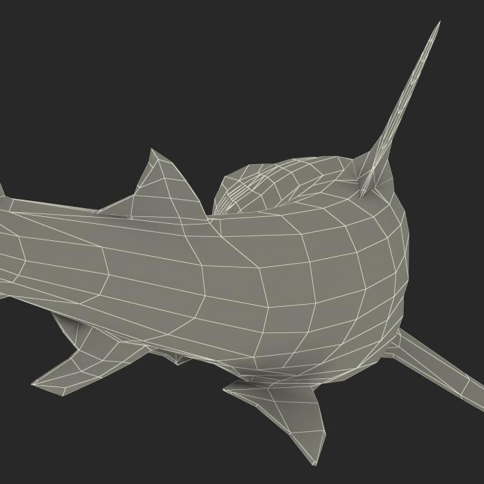 3D model Dusky Shark Swimming Pose