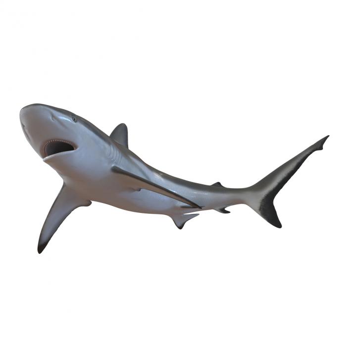 Grey Reef Shark Swimming Pose 3D model