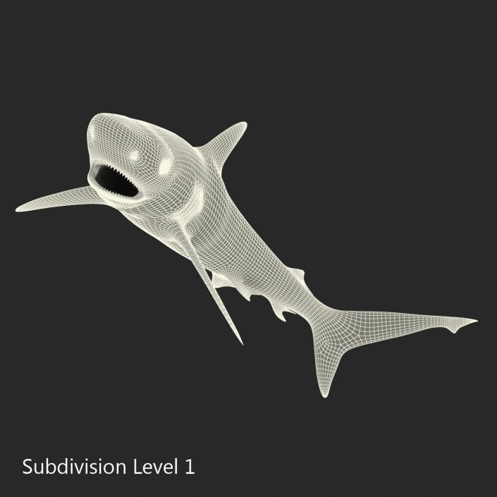 Grey Reef Shark Swimming Pose 3D model