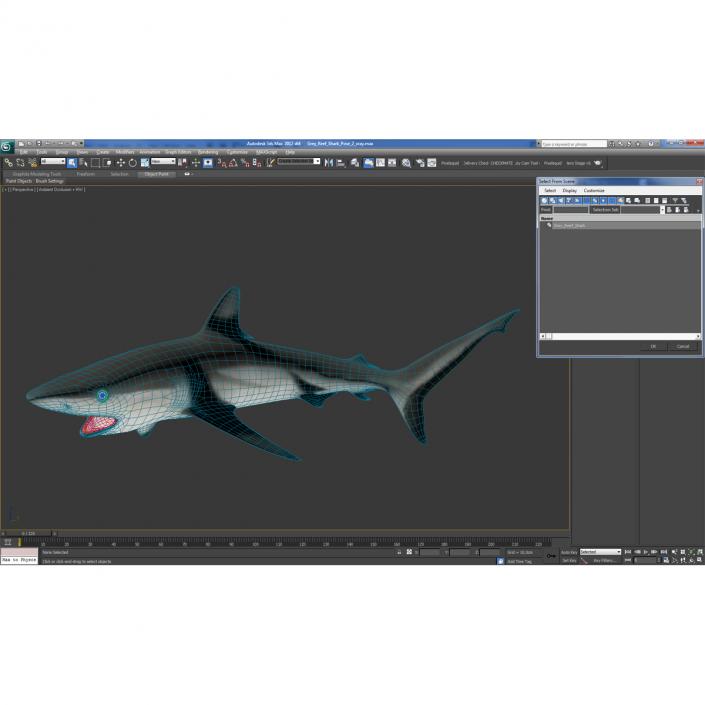 Grey Reef Shark Swimming Pose 3D model