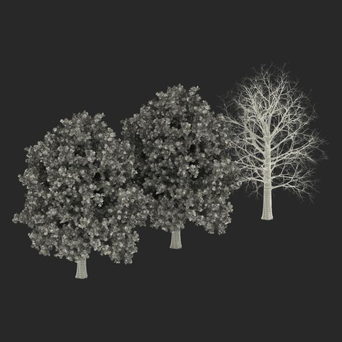 3D Red Oak Tree Set