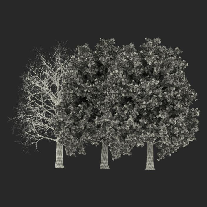 3D Red Oak Tree Set