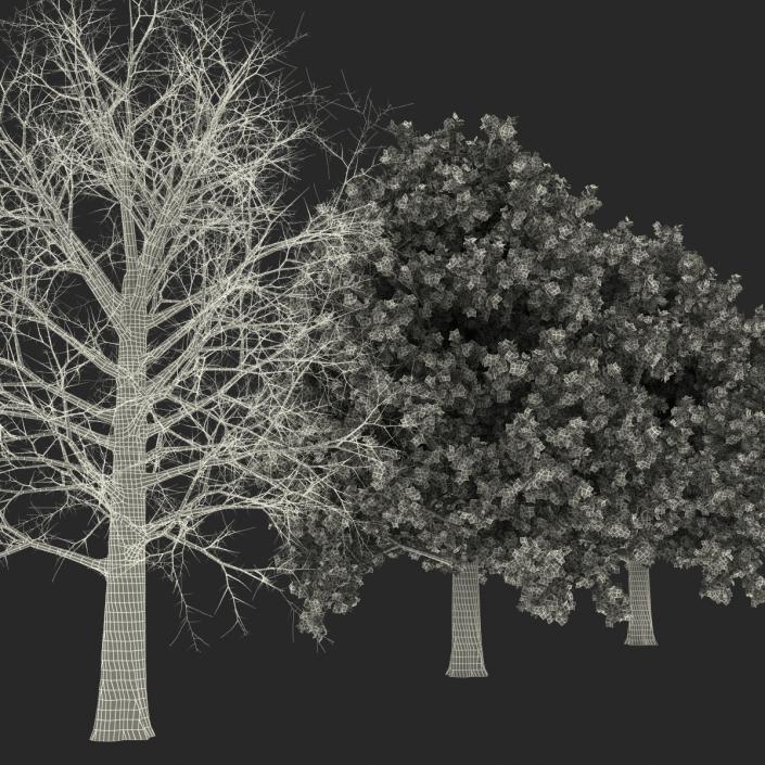 3D Red Oak Tree Set