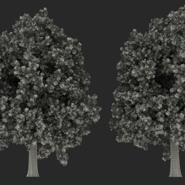 3D Red Oak Tree Set