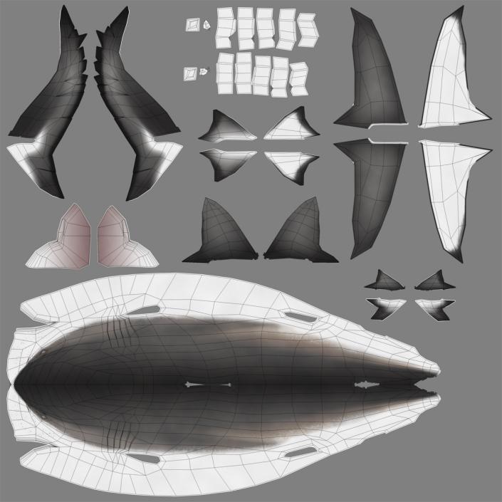 3D Dusky Shark