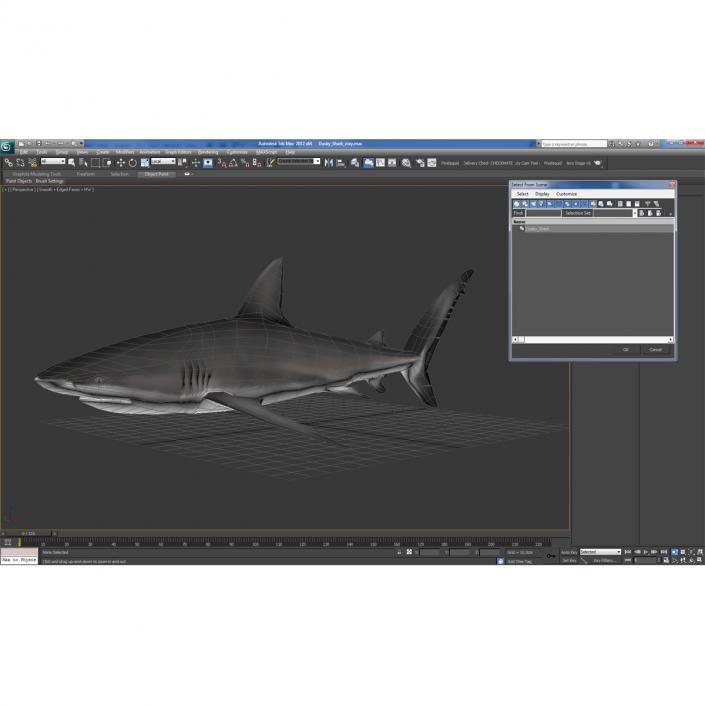 3D Dusky Shark