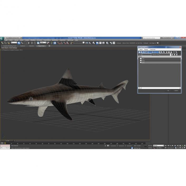 School Shark 3D