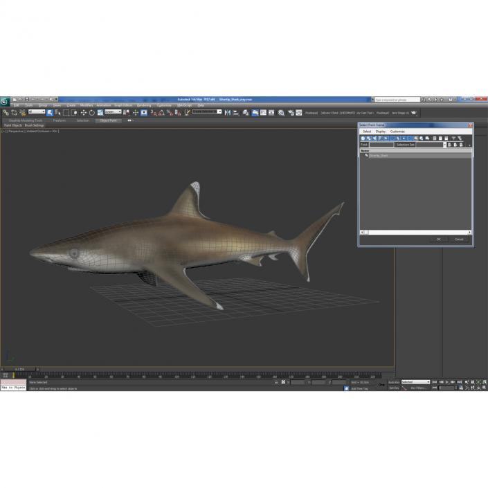 3D model Silvertip Shark