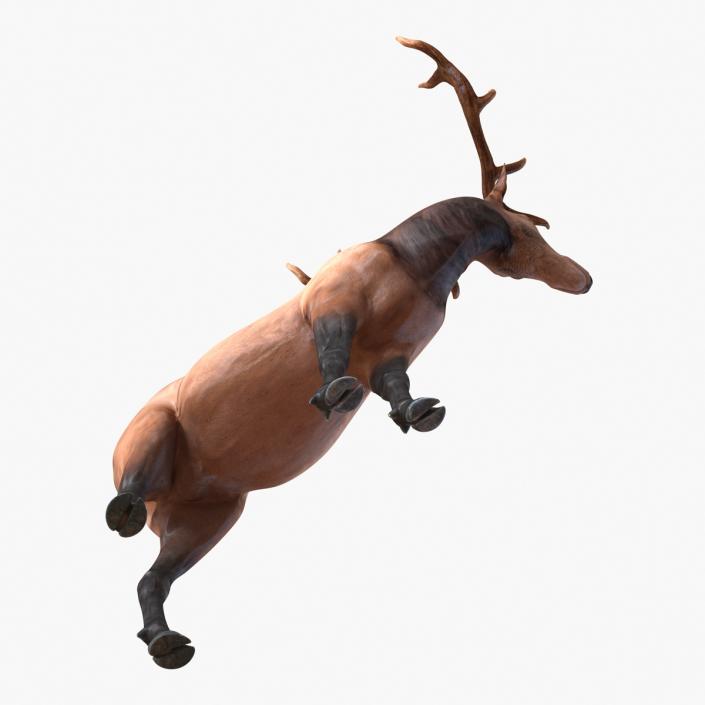3D model Elk Pose 2