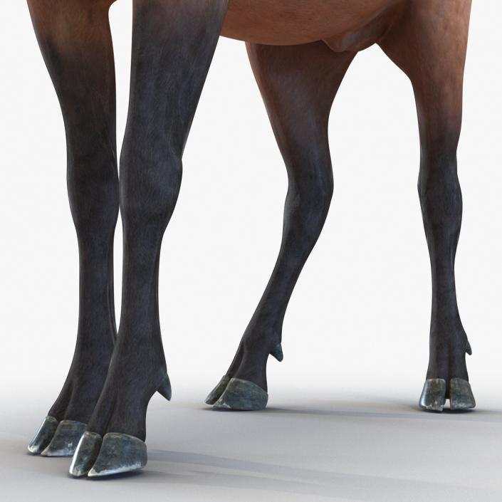 3D model Elk Pose 2