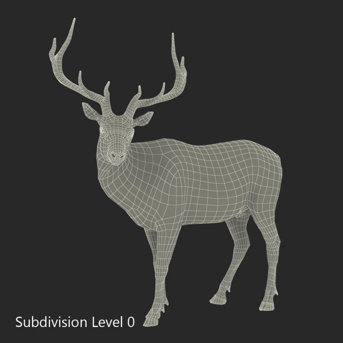 3D model Elk Pose 2