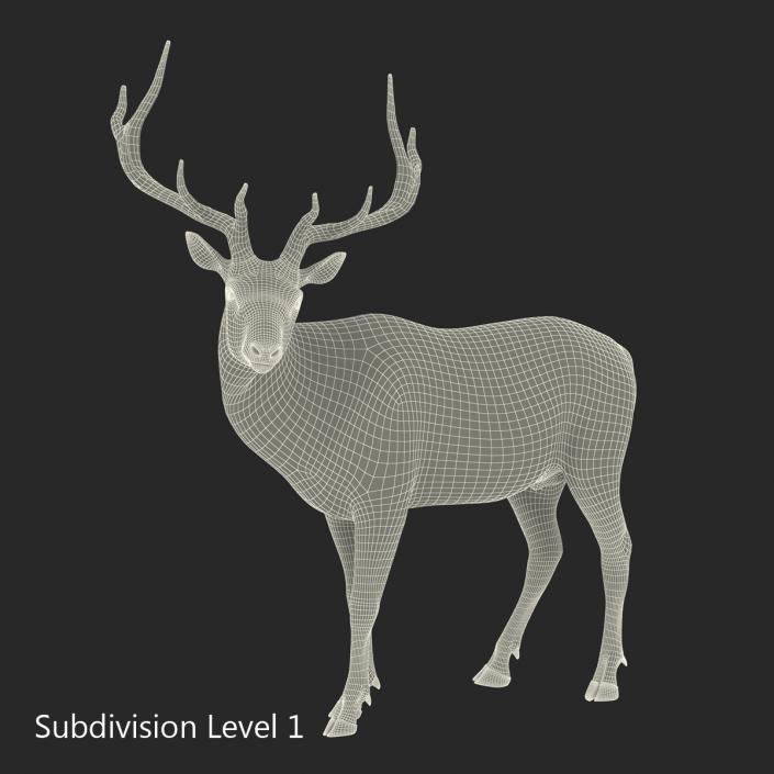 3D model Elk Pose 2