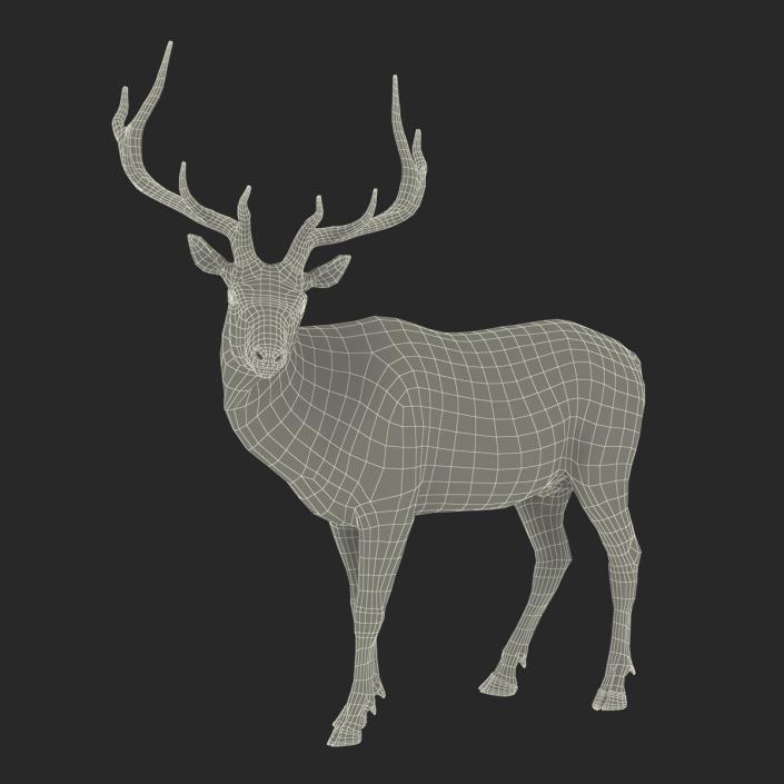 3D model Elk Pose 2