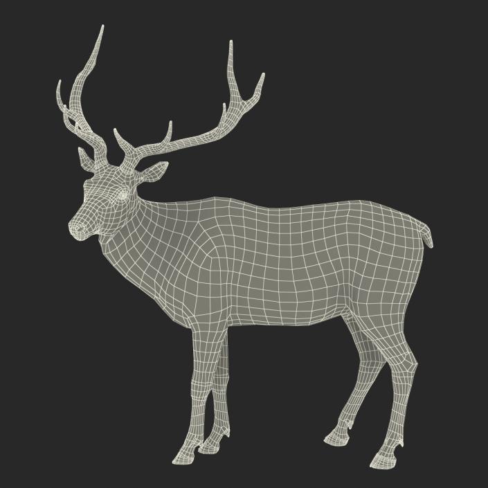 3D model Elk Pose 2