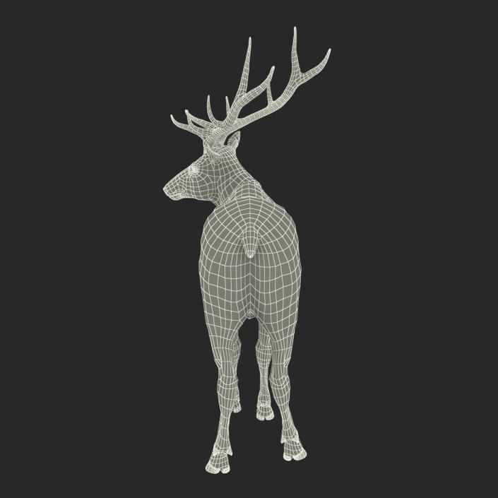 3D model Elk Pose 2