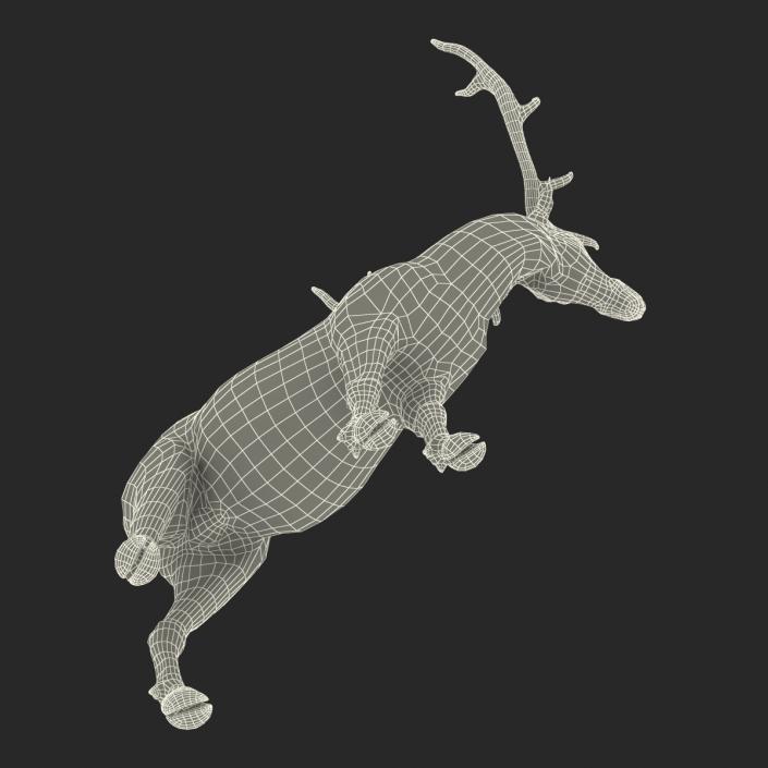 3D model Elk Pose 2