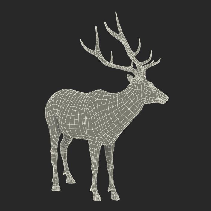 3D model Elk Pose 2