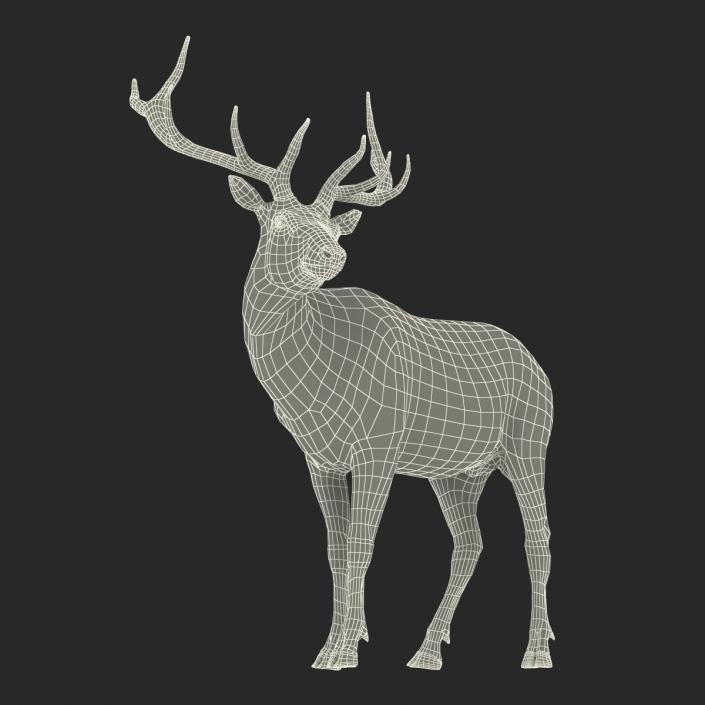 3D model Elk Pose 2