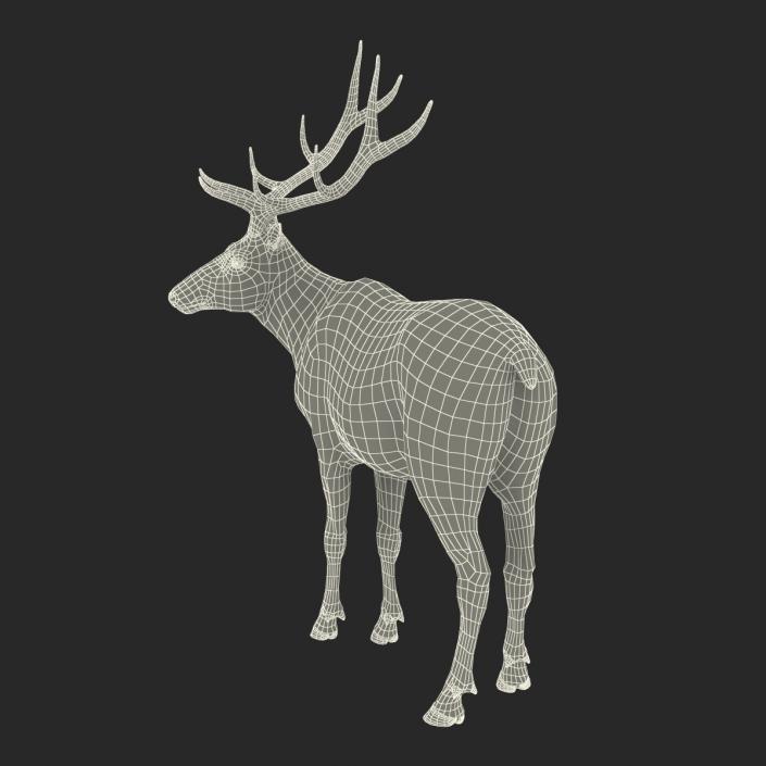 3D model Elk Pose 2