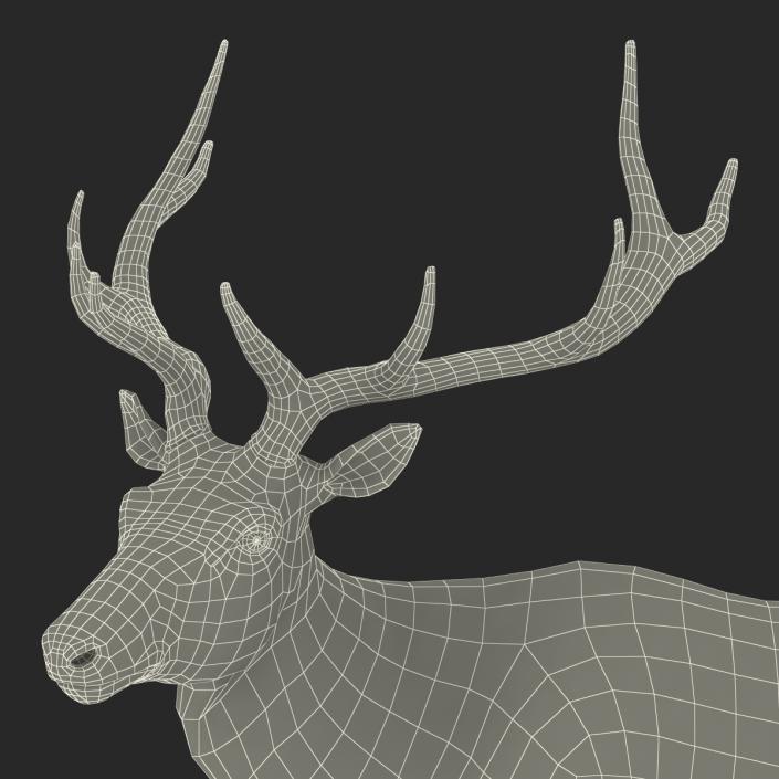 3D model Elk Pose 2