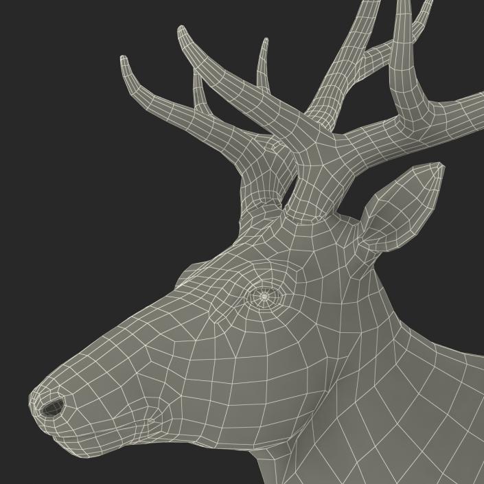 3D model Elk Pose 2