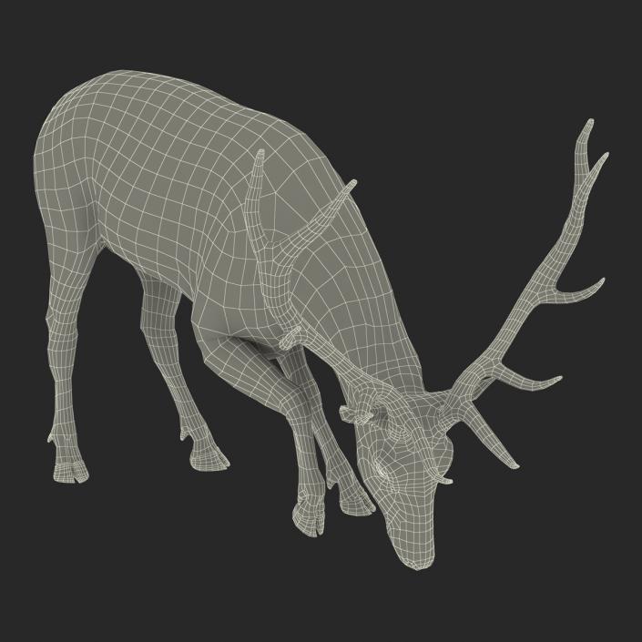 3D model Elk Pose 3