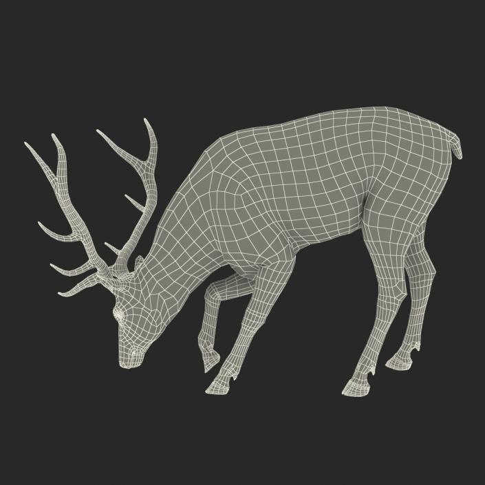 3D model Elk Pose 3