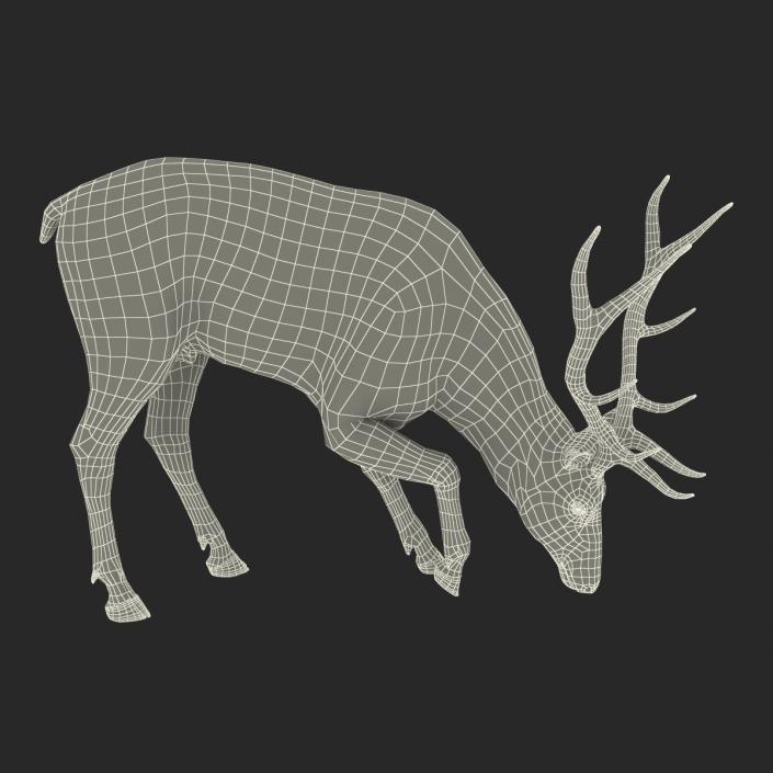 3D model Elk Pose 3